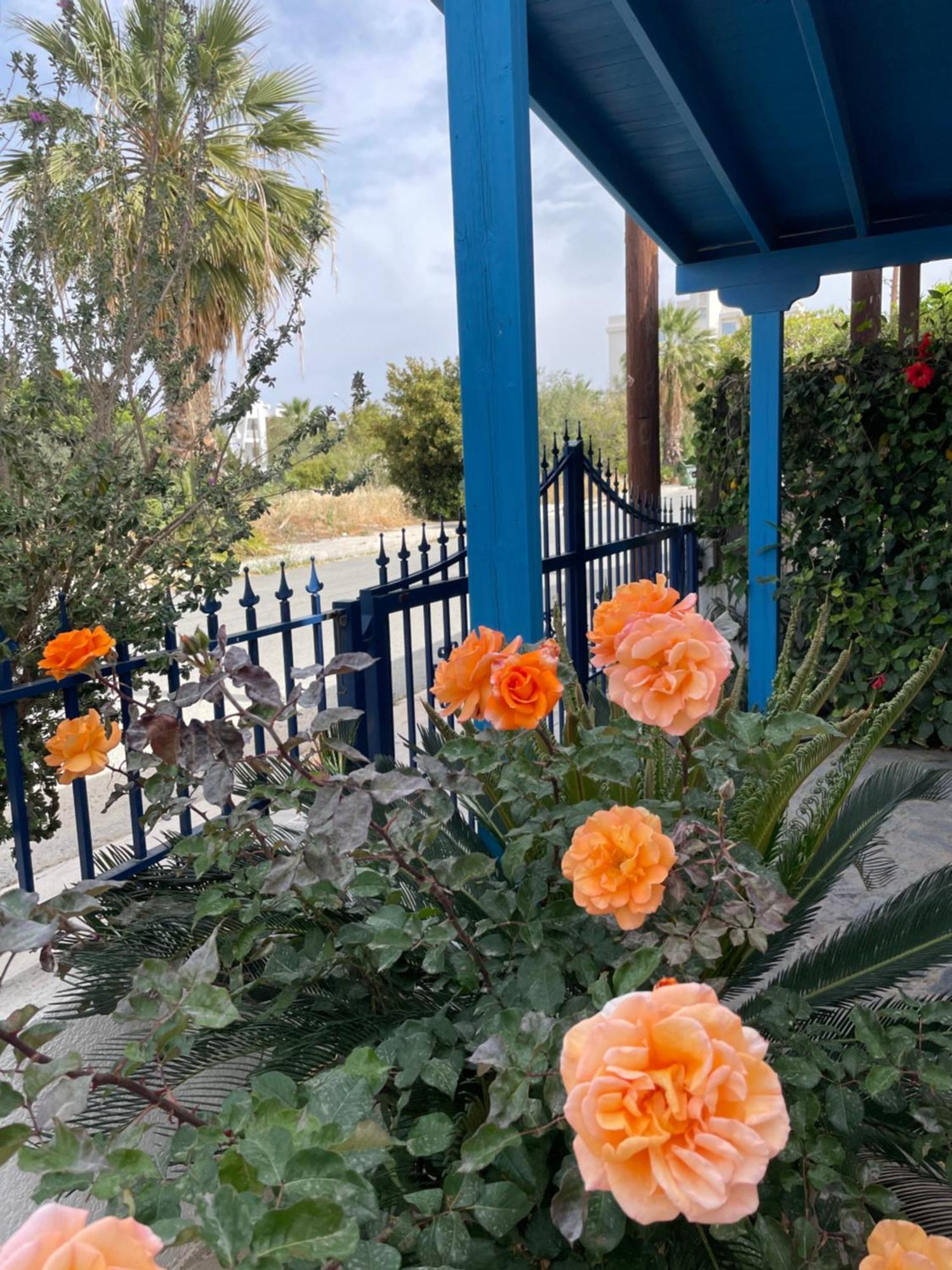 Amorgos Gardens