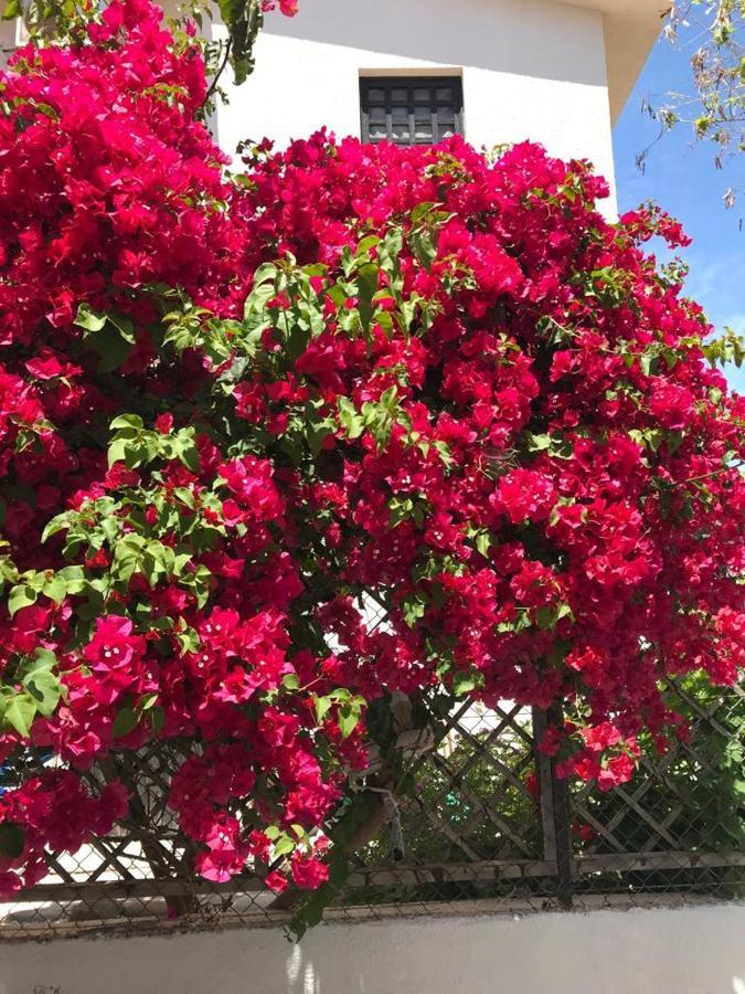 Апартаменты Amorgos Gardens *